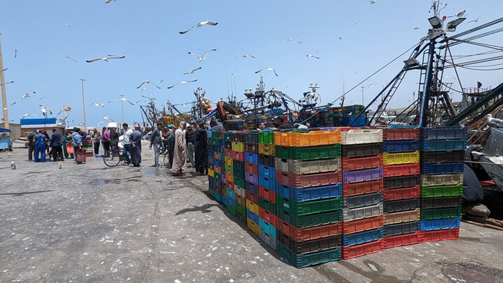 Essaouira Street Food Tour