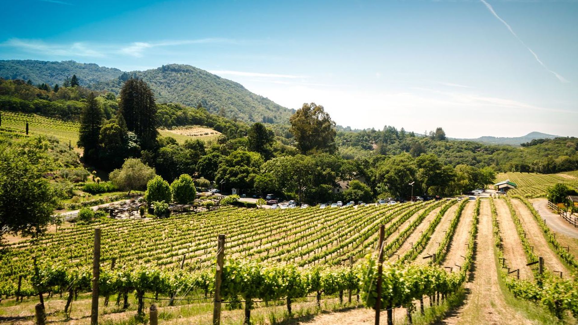 Wine Tasting in Sonoma County: Private All-Inclusive Excursion image 1