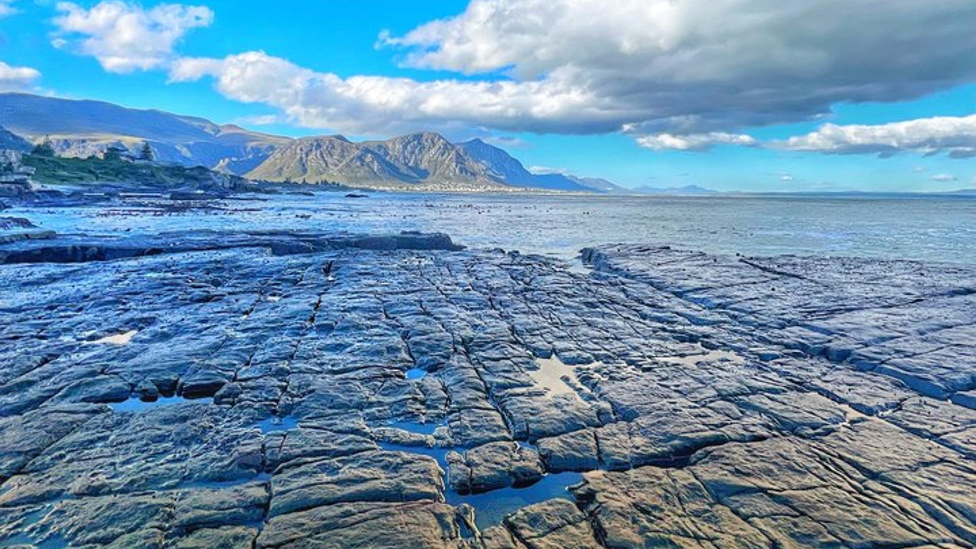 Hermanus Private Whale Watching Tour With Hotel Pickup