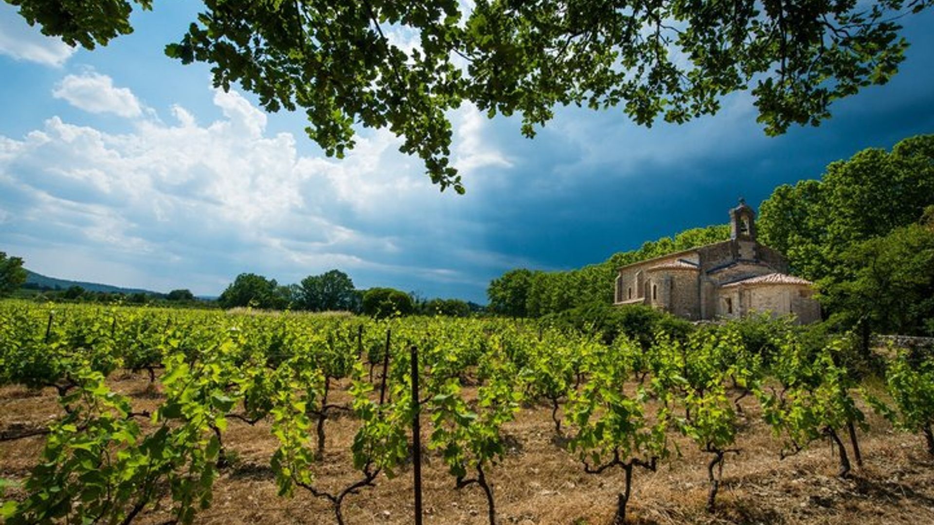 Erkunden Sie Gaillac Wines Private Halbtagestour ab Toulouse
