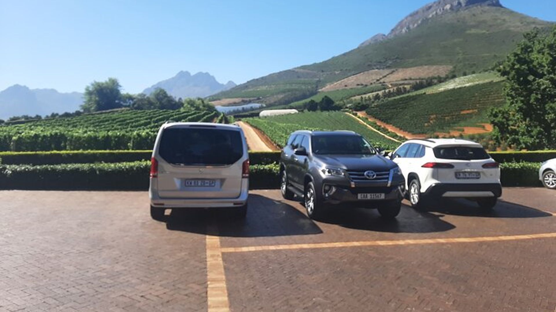 Visite de dégustation de vins de Stellenbosch, Franschhoek et Paarl
