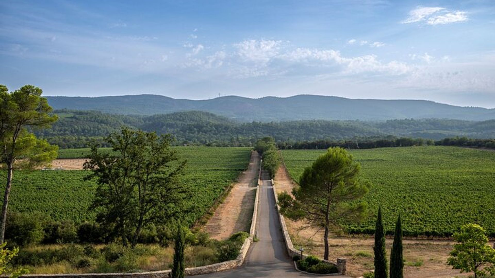 Private Saint-Tropez Peninsula Wine Tour