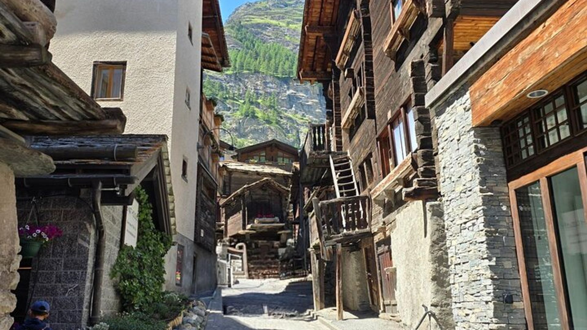 Zermatt Village, région du Cervin et mont. Visite en petit groupe du Gornergrat au départ de Bâle