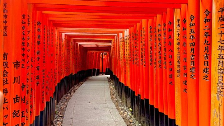 Kyoto and Nara Day Tour | English Guide and Private Vehicle