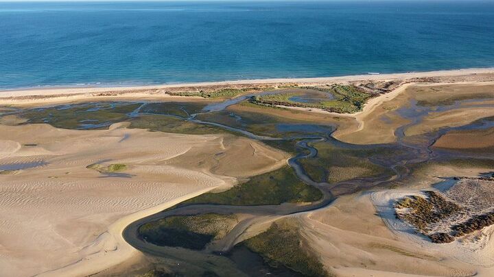 Ria Formosa & Ilhas: Private Tour for Two or in Group