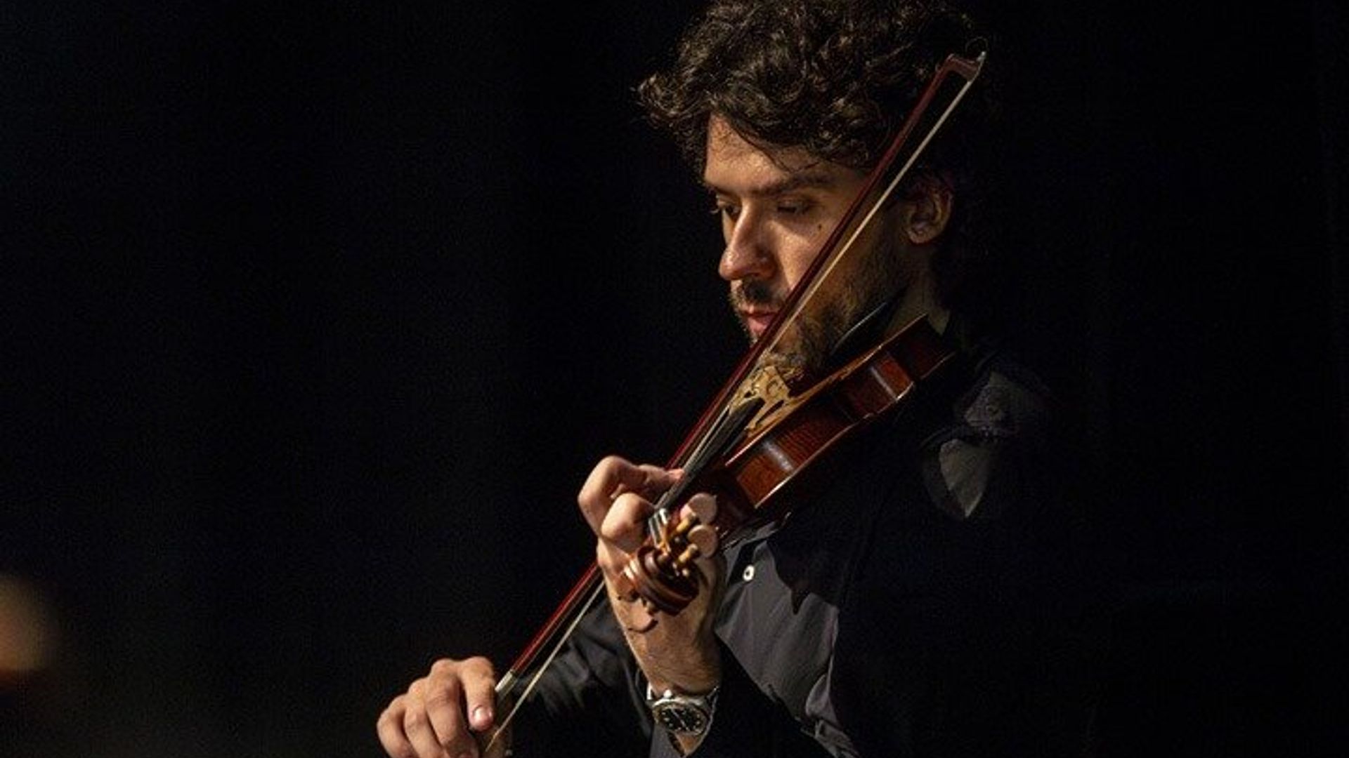 Violin Love Padua