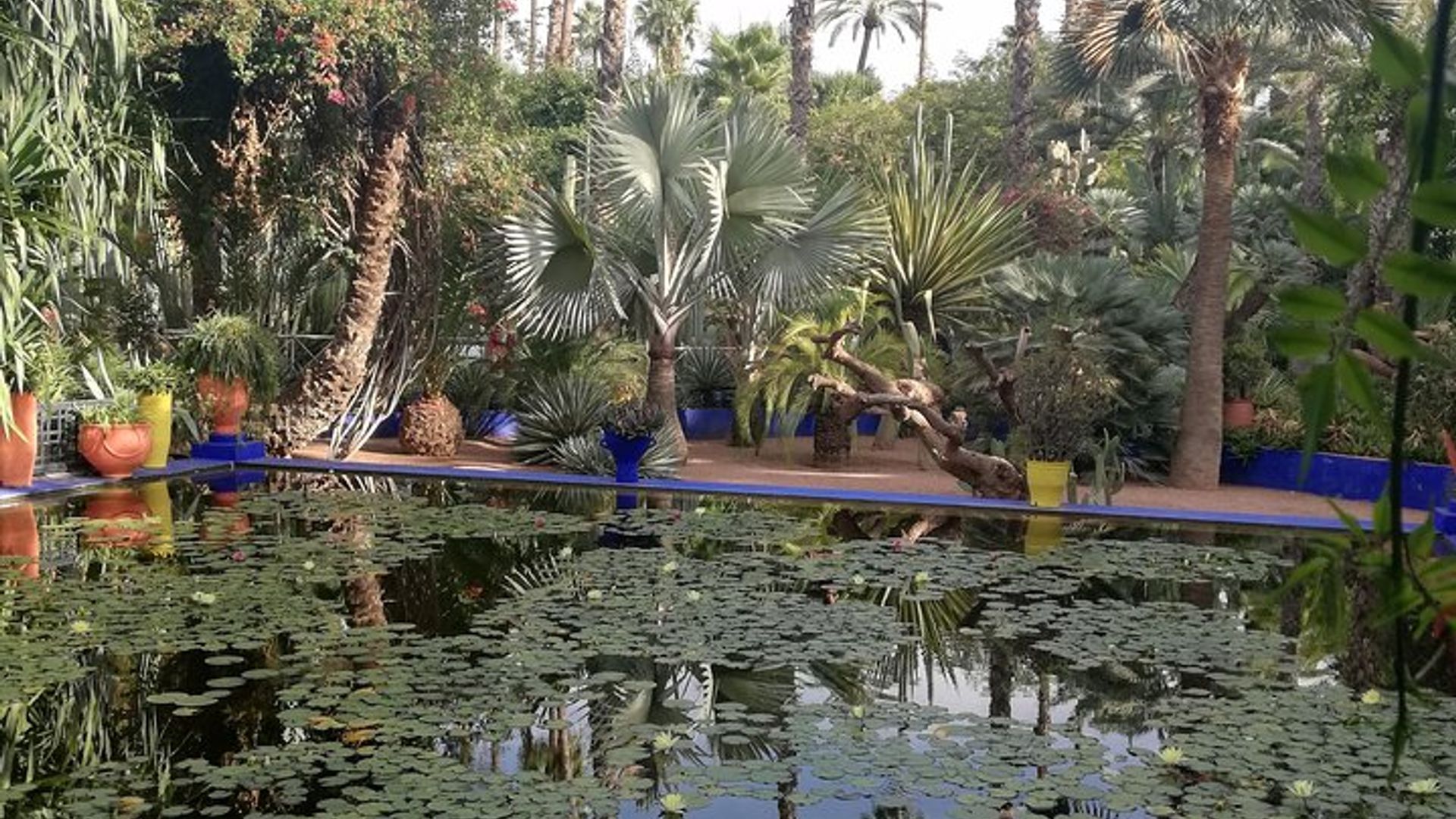 Marrakech: Private Guided Half-Day City Tours