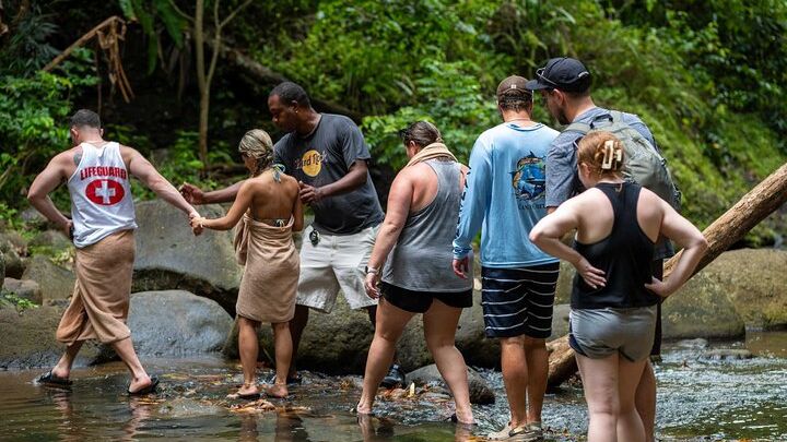 Rainforest Hike & Waterfall Safari St. Lucia From Castries