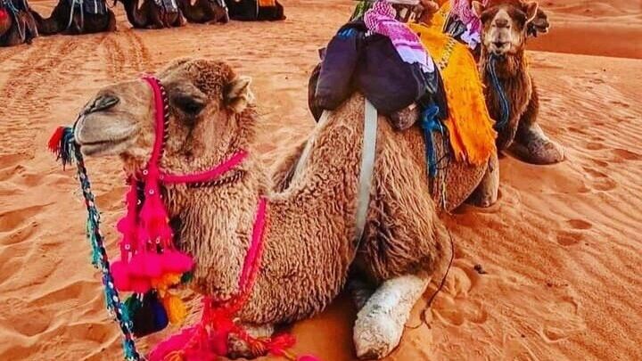 3 Day Marrakech to Merzouga Desert Tour