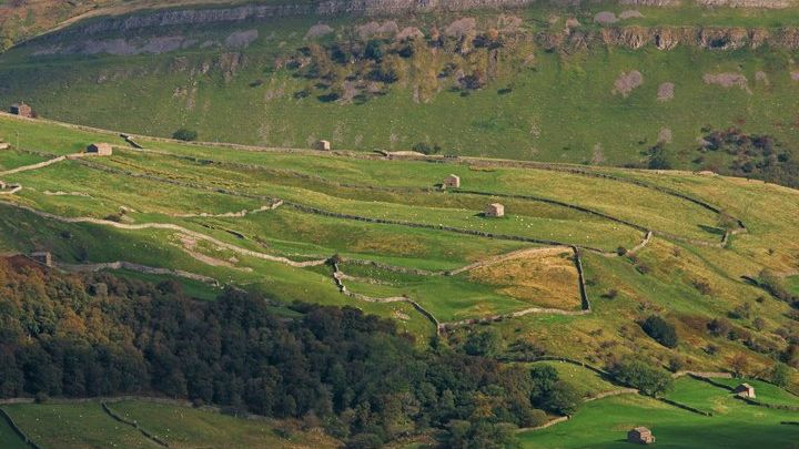 Yorkshire Dales Full-Day Tour From York