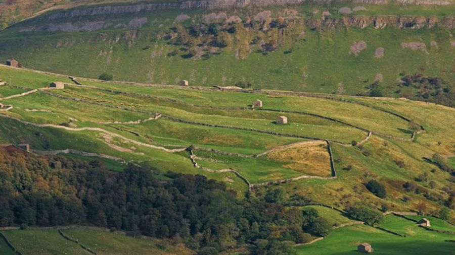 Yorkshire Dales Full-Day Tour From York