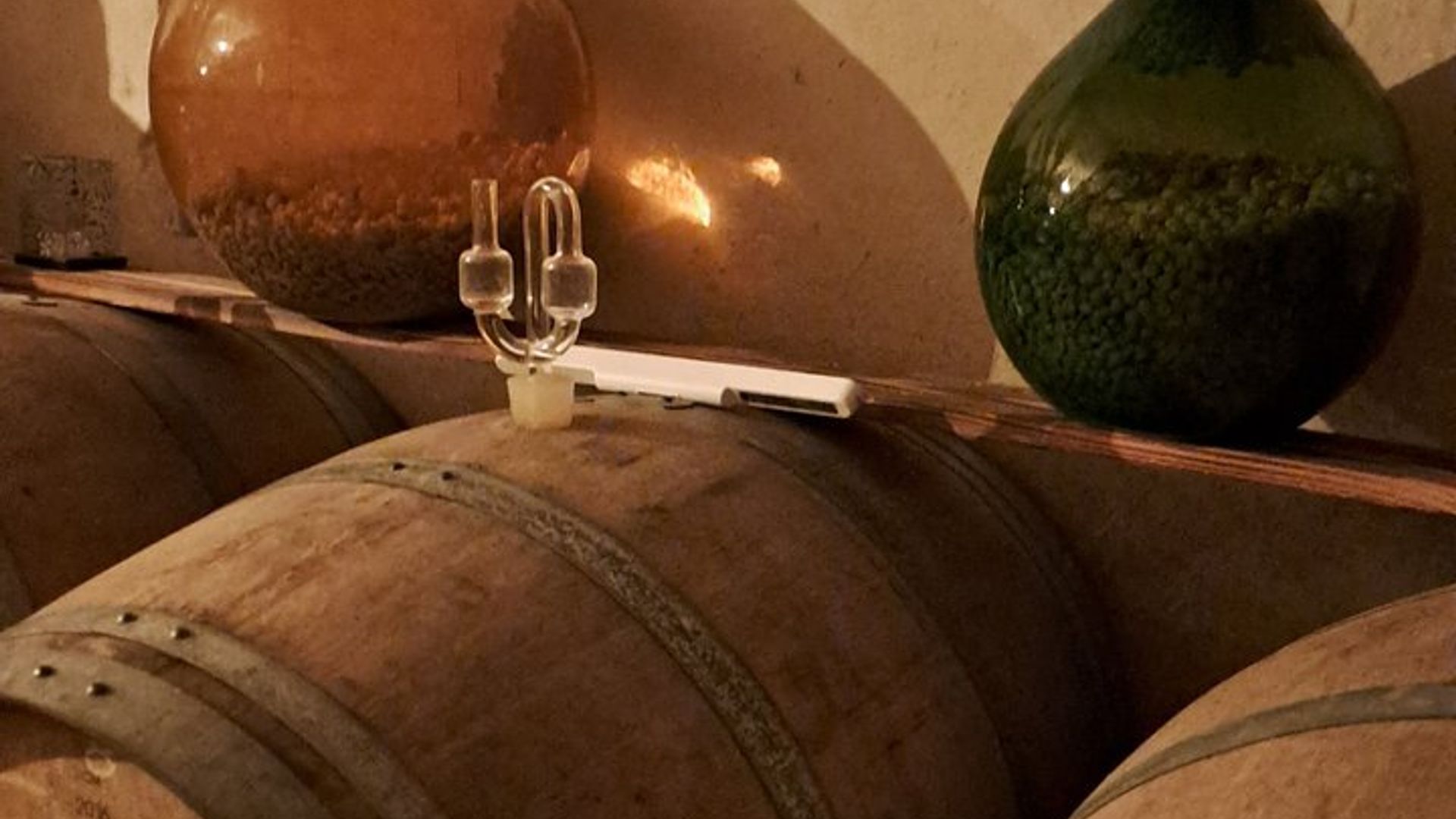 Einführung in Loire Anjou Weine Nachmittags Weinprobe Tour