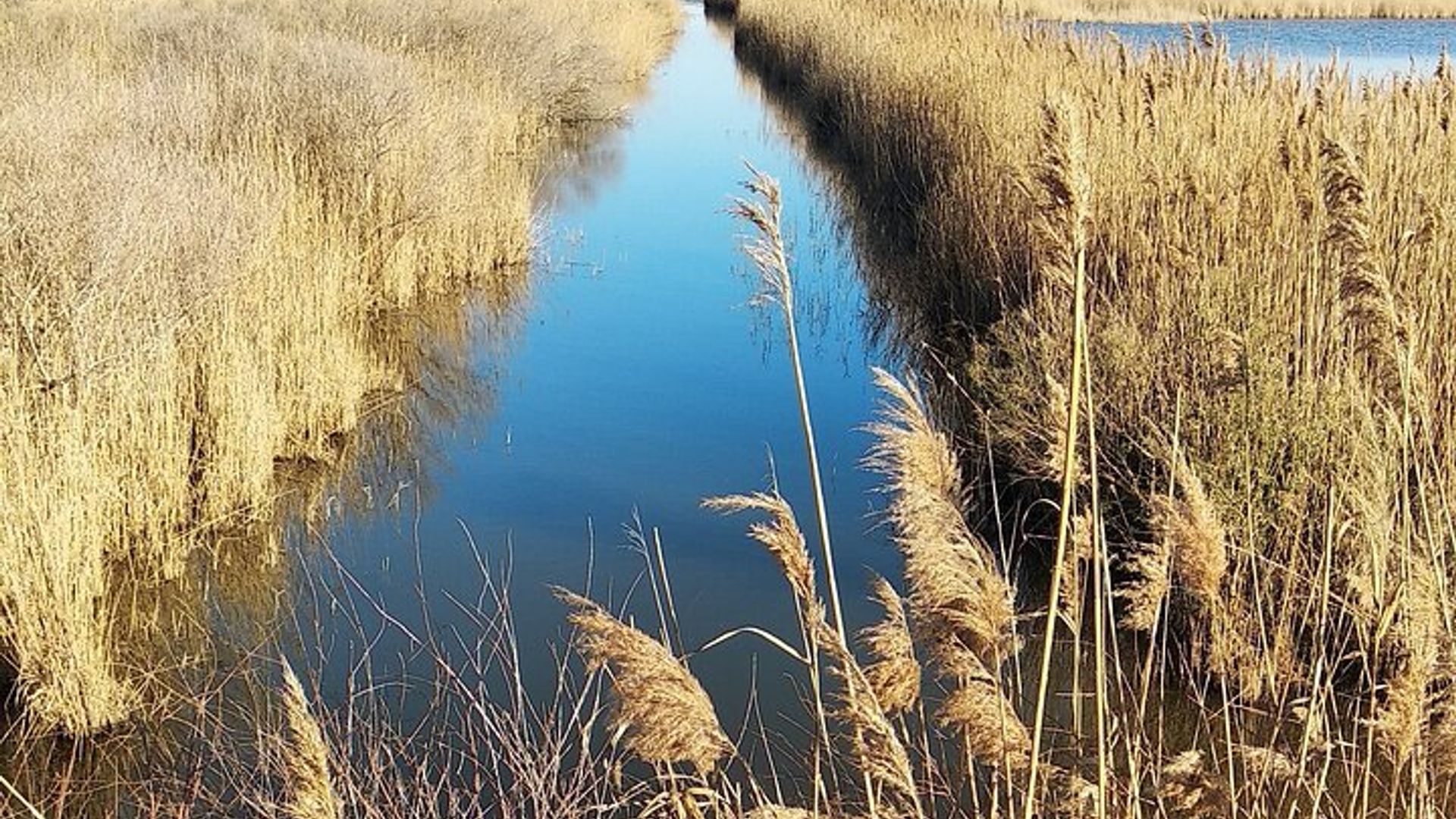 Un día en la Camarga, Aigues-Mortes y St Marie de la Mer