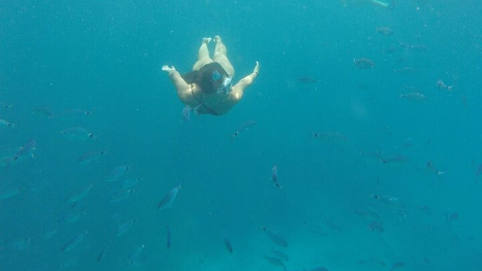 Tour em Pequeno Grupo em Palma de Mallorca com Snorkeling