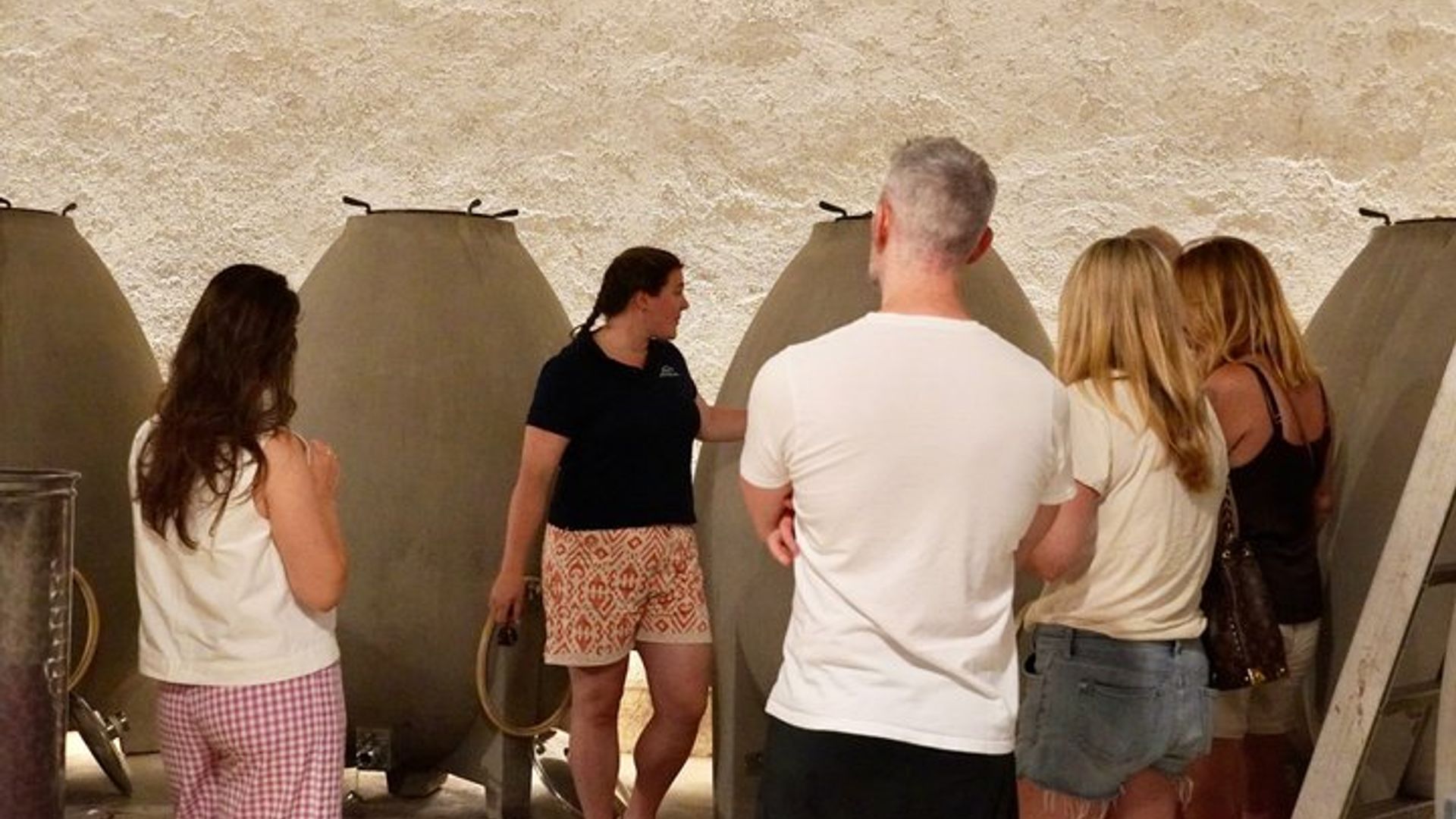 Beaune : Excursión a bodegas para grupos pequeños desde Dijon