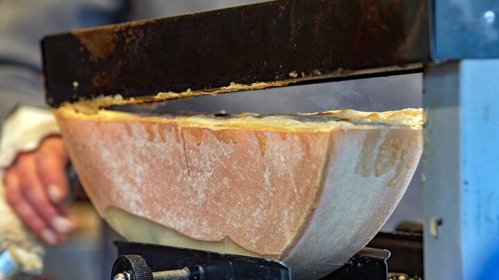 Basel Gruyère und Schweizer Käse Experten geführte Verkostung : Bis zu 7 Käsesorten
