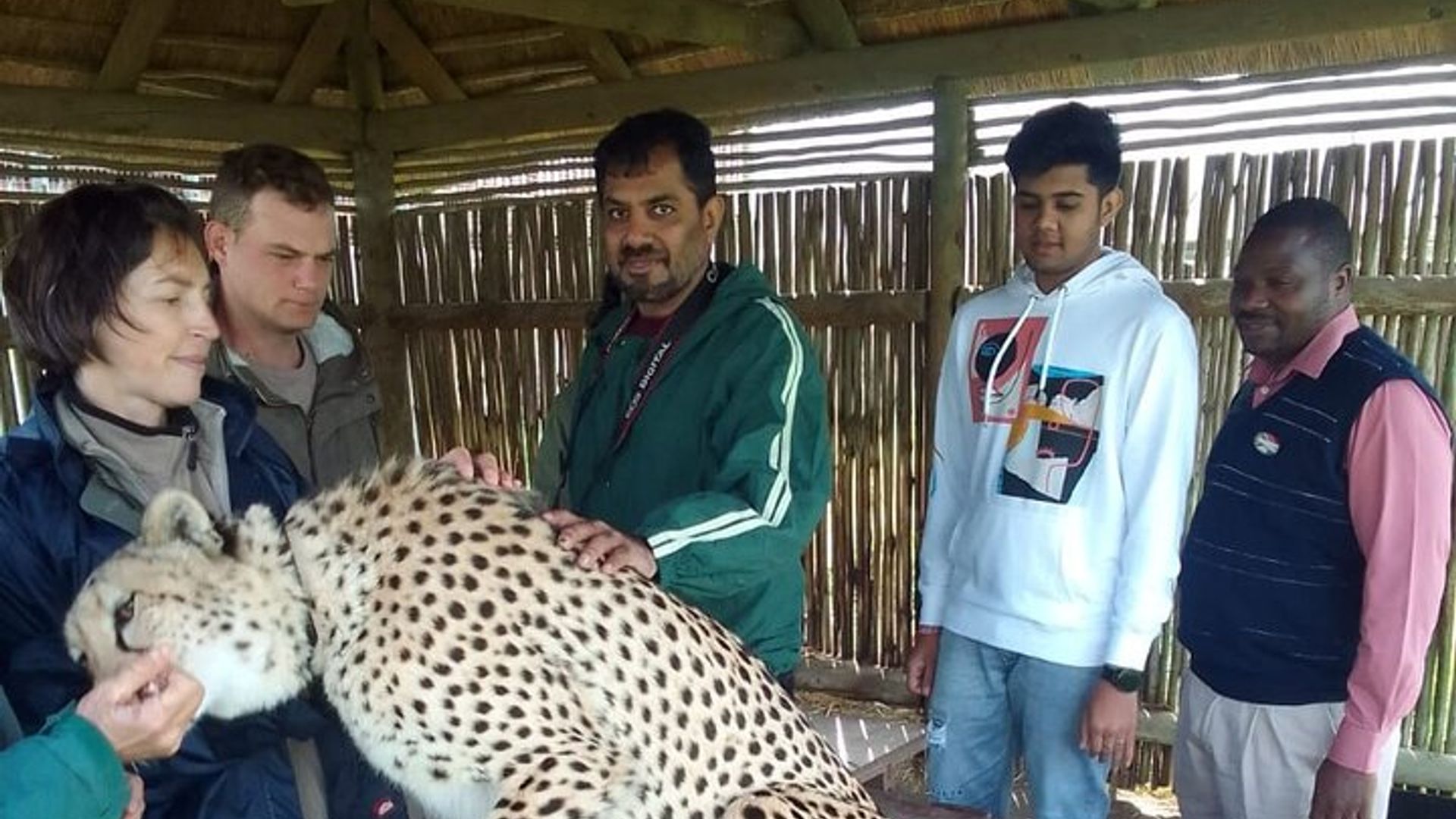Excursión a Cheetah Outreach, Gordon's Bay y Strand Beach