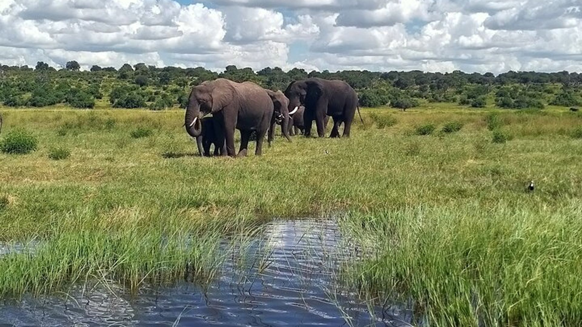 Victoria Falls 4 Day Adventure Tour