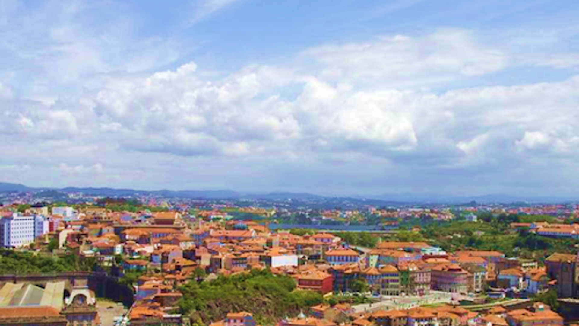 Clérigos Tower & Museum: Entry Ticket