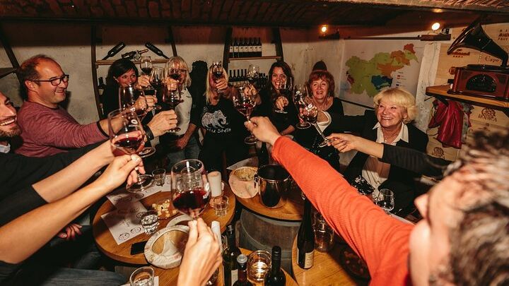 2-Hour Interactive Wine Tasting Experience in Bled