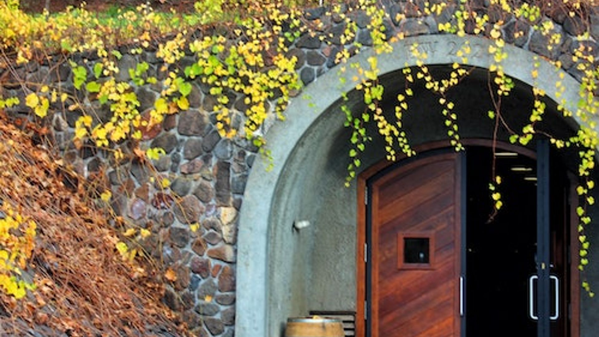 From San Francisco: Full Day Napa Valley Wine Tasting Tour image 3