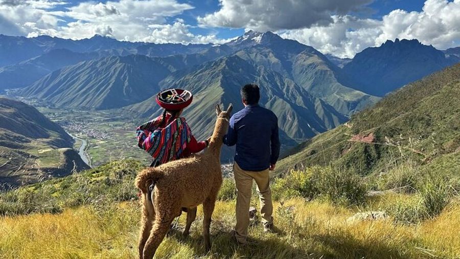 the best sacred valley tour: walk with Alpacas,culture experience