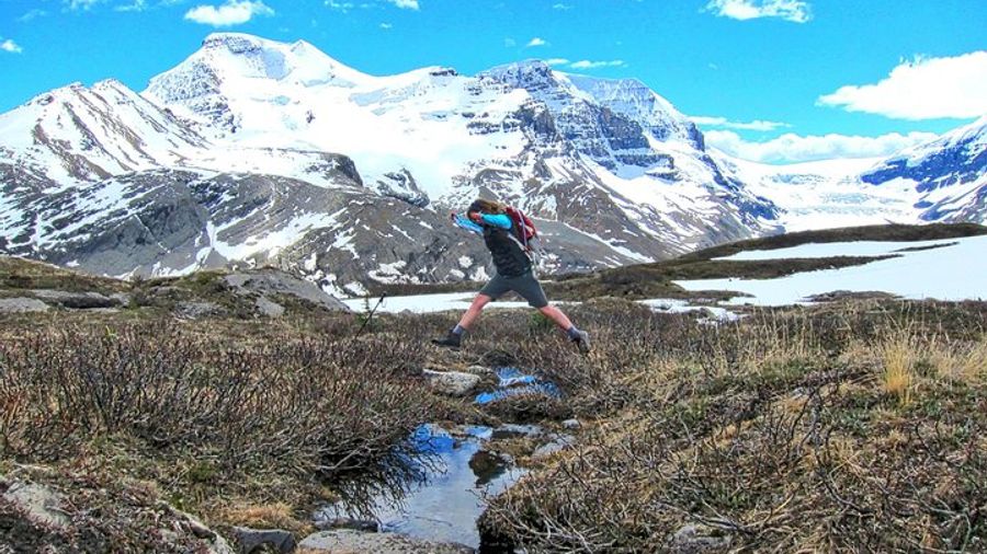 Banff to Jasper One-Way Tour