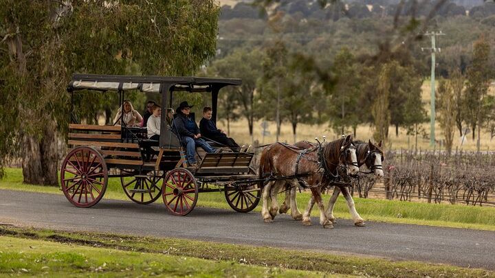 Pokolbin: Hunter Valley Half-Day Wine Tour by Horse Carriage