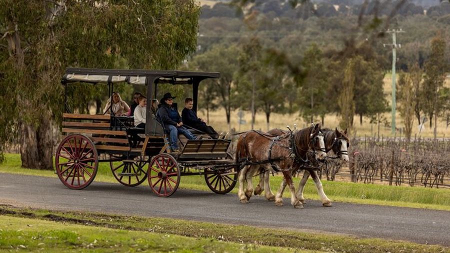 Pokolbin: Hunter Valley Half-Day Wine Tour by Horse Carriage