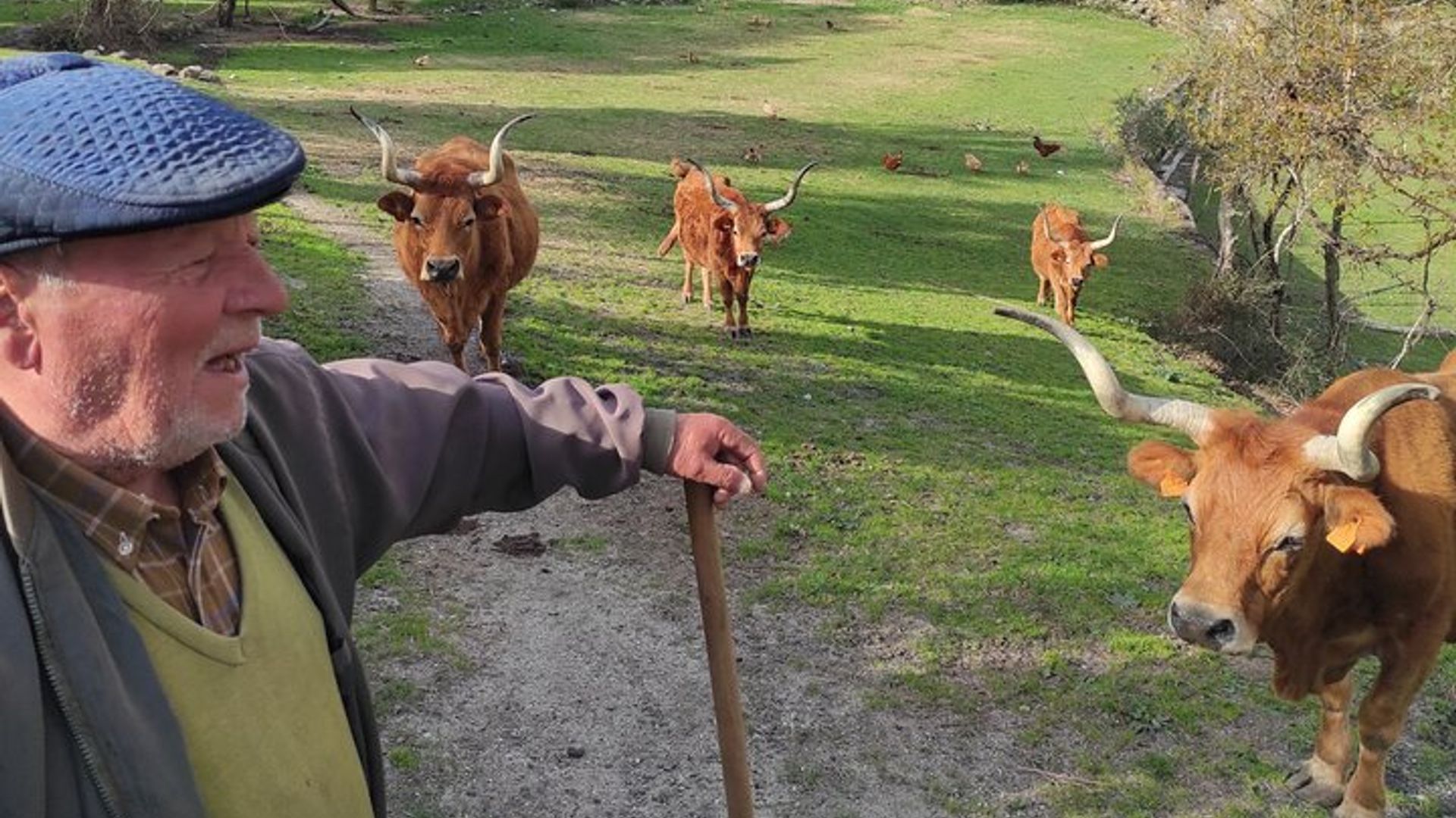 Wasserfälle, Erbe und Natur im Gerês Park - von Porto