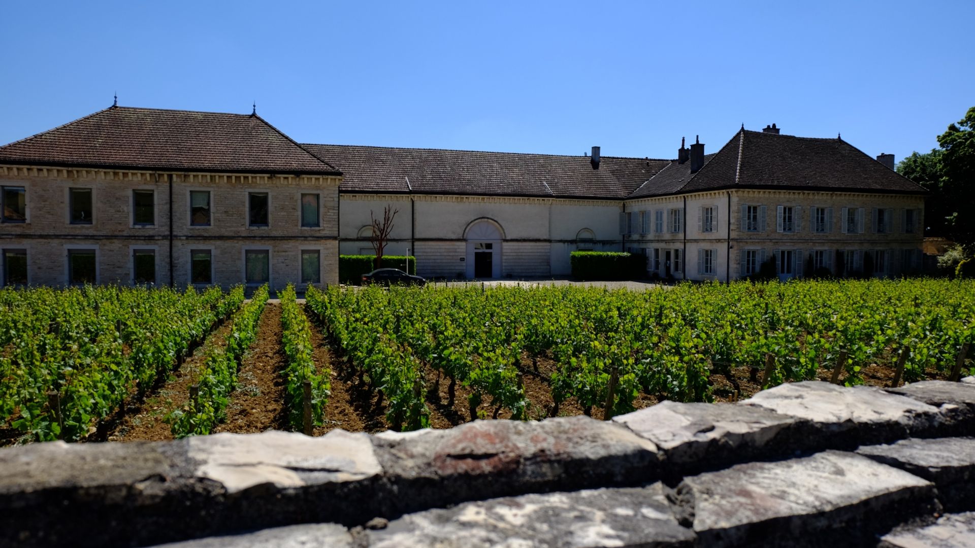 Half-Day Bike & Wine Tour in Burgundy's Côte de Beaune