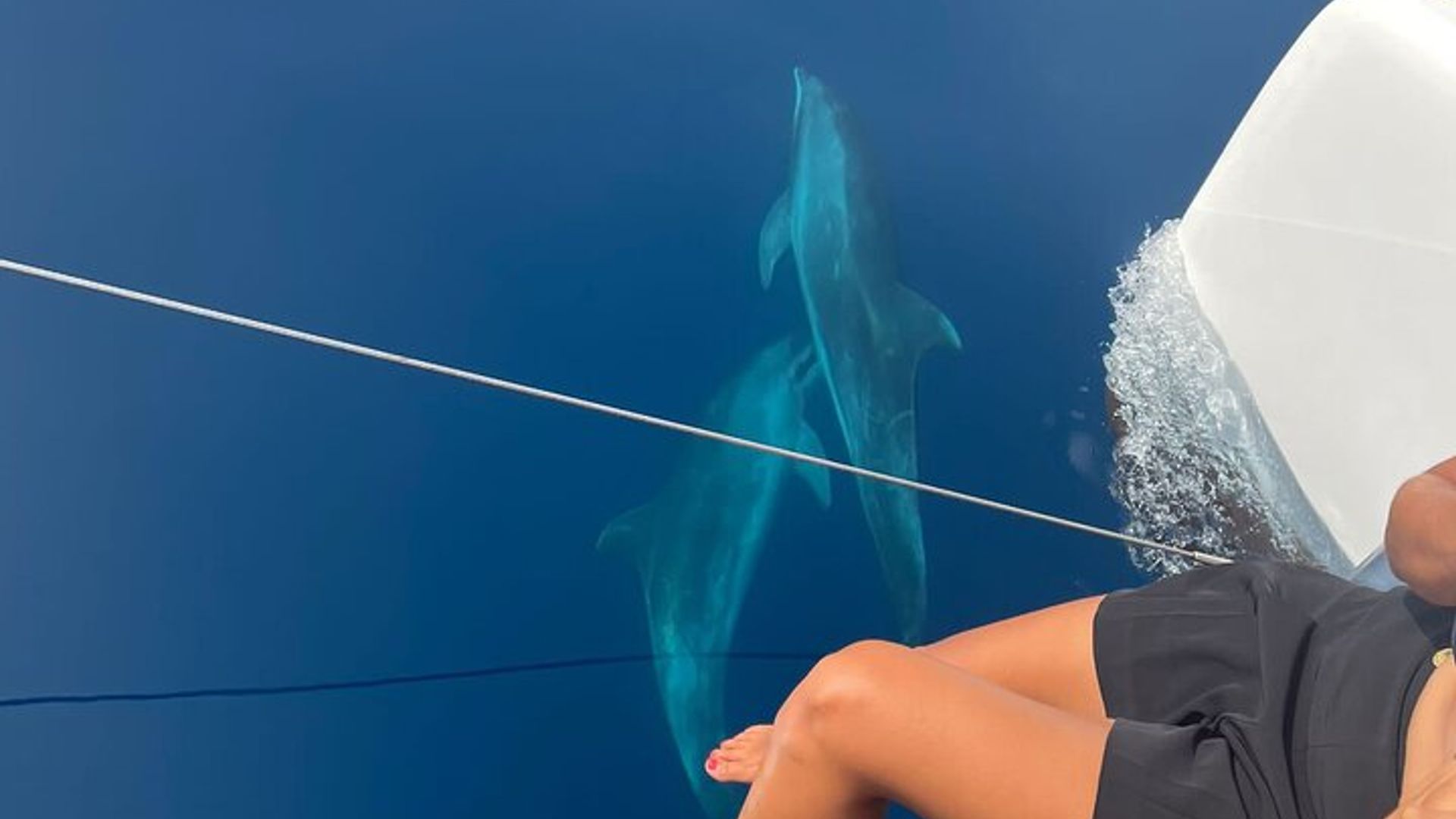 Santa Maria Small-Group Catamaran Tour