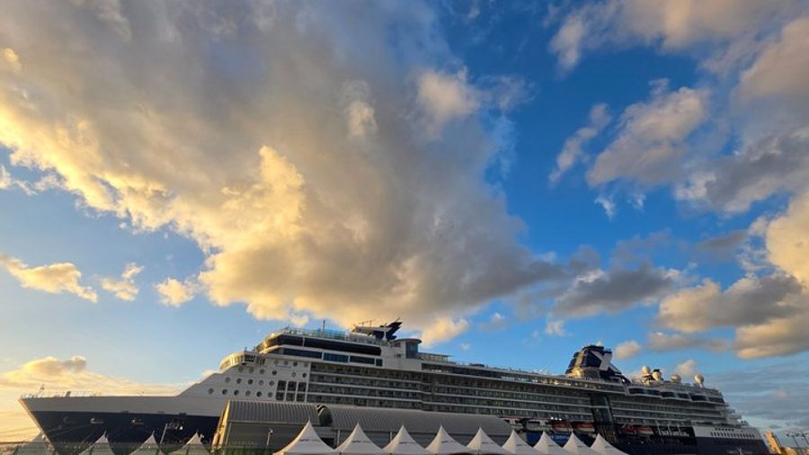 [On Time Return] Busan Private Tour for Cruise passengers