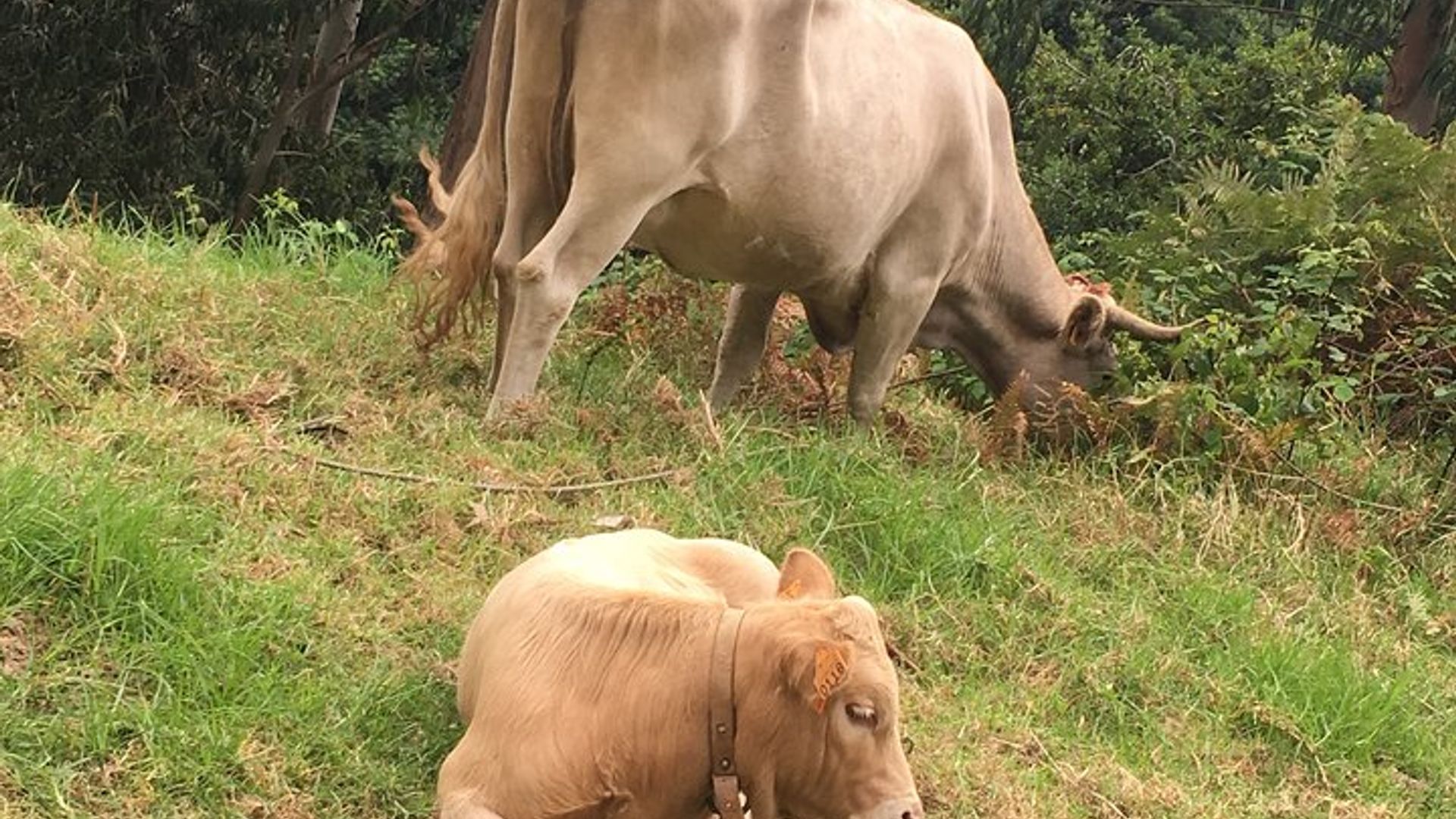 Le meilleur de SouthWest : une expérience en 4x4 avec toit ouvert