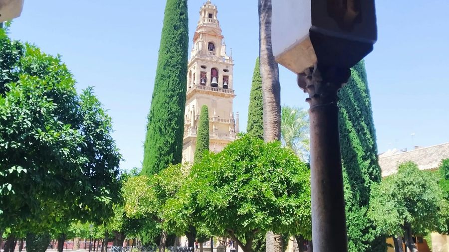 Guided tour of the Cathedral-Mosque of Córdoba