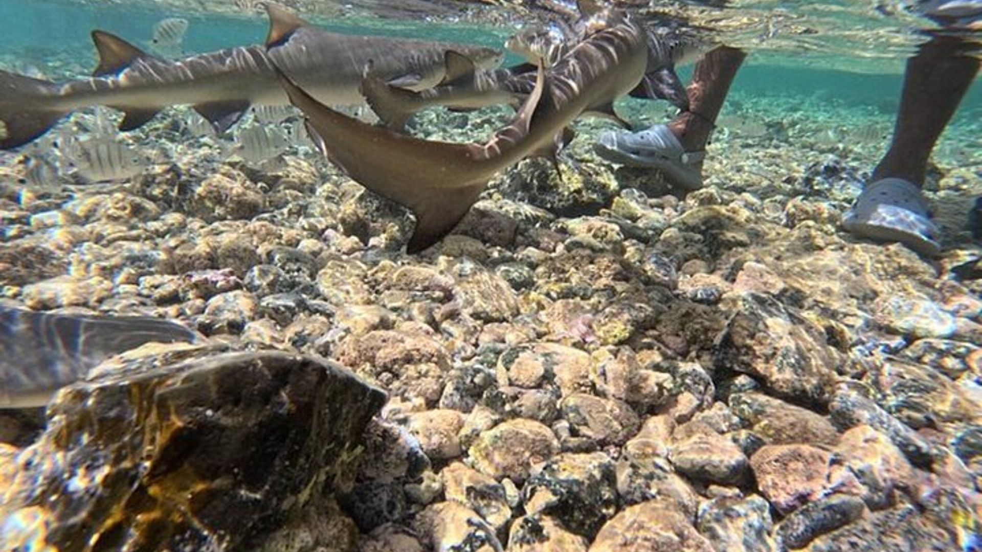 Ganztagestour – Salzbergwerk, Blue Eye, Shark Watch und Kite Beach