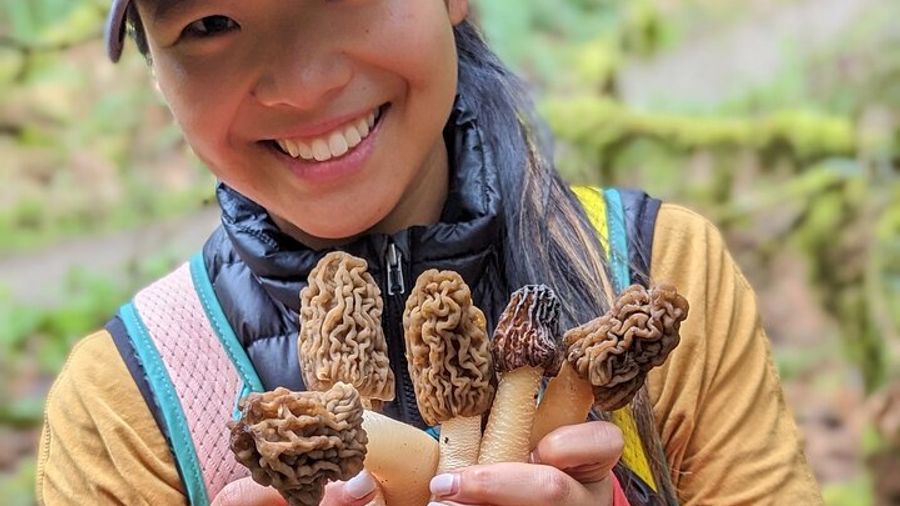 Intro to Seattle Mushroom Foraging