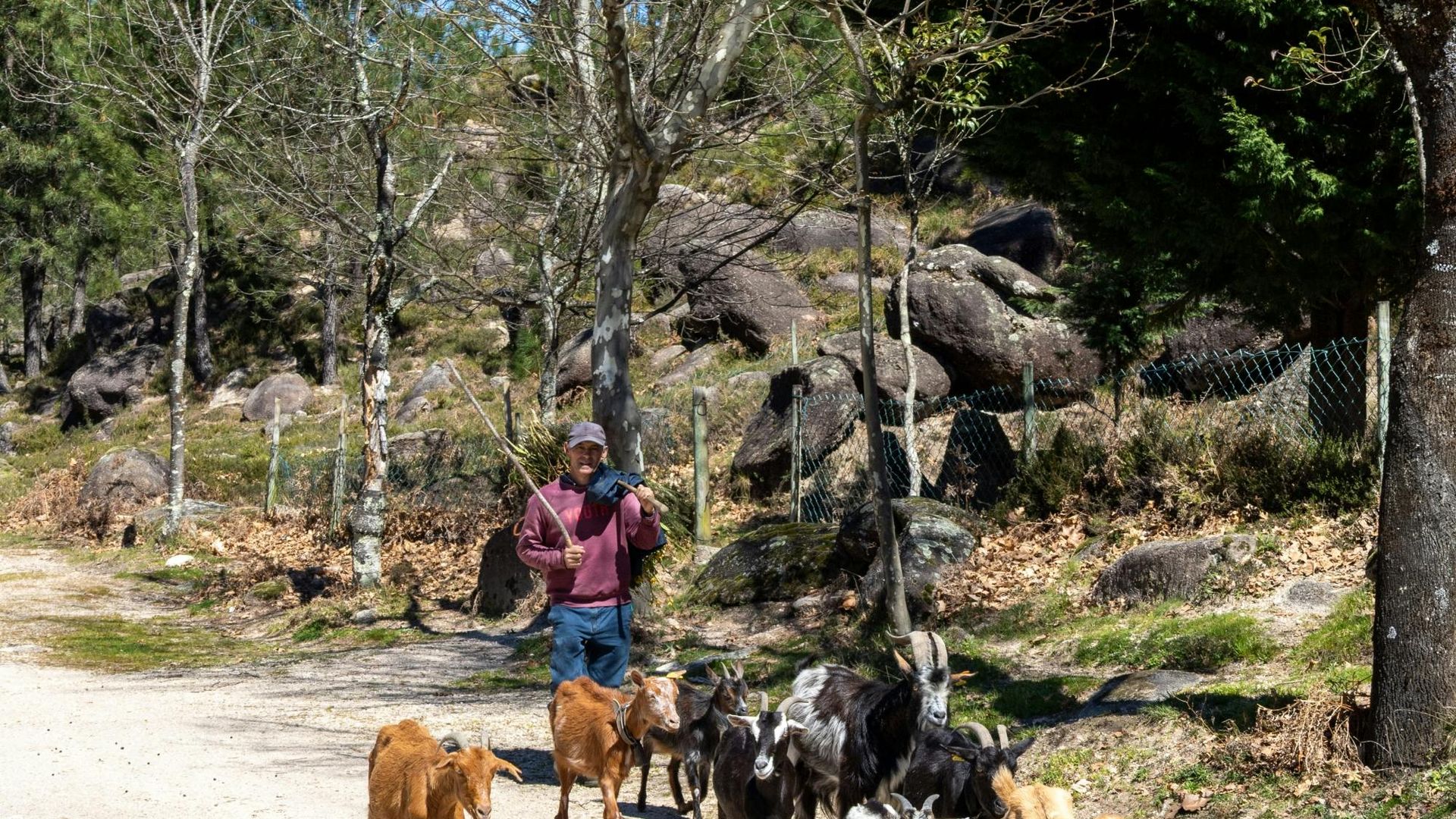 Peneda-Gerês National Park 4x4 tour