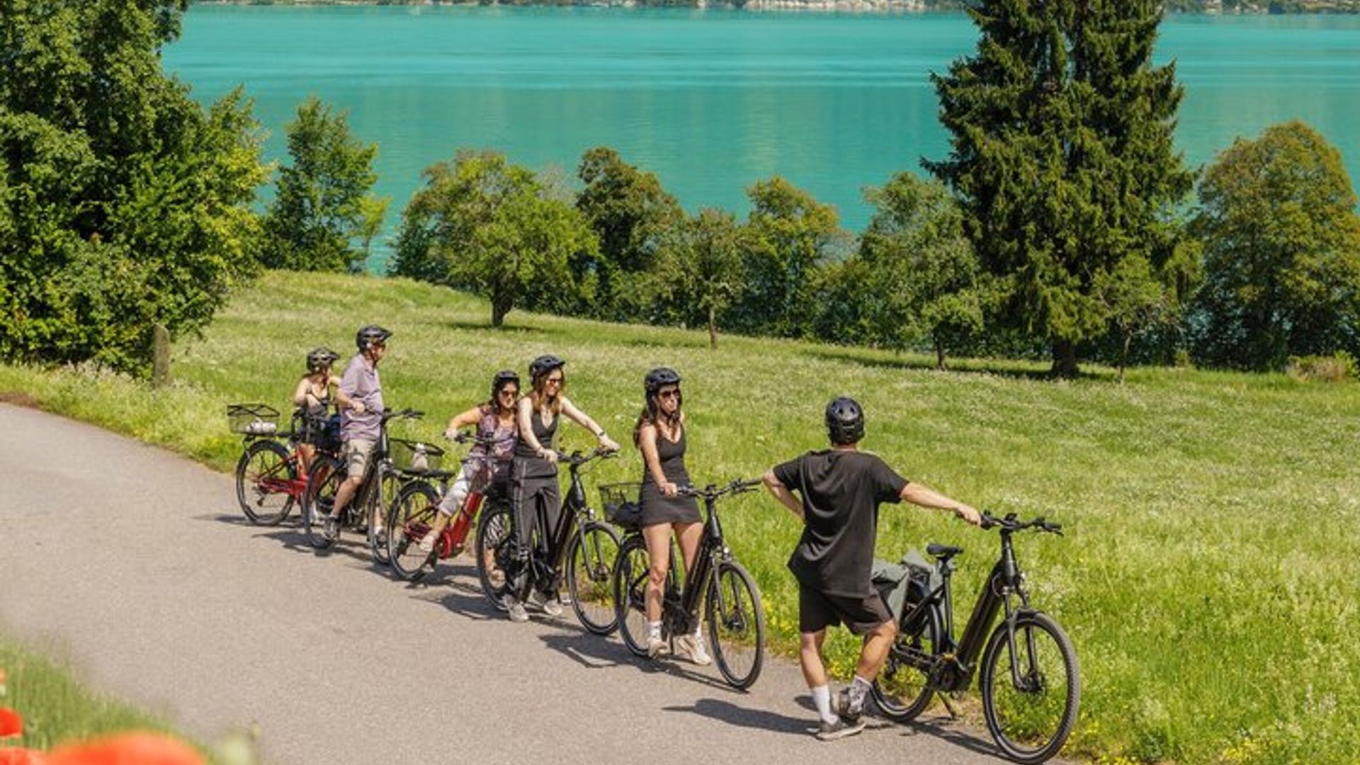 Interlaken E-Bike Tour: Campagne et ruines du château