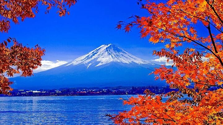 Mt Fuji Full Day Private Tour from Tokyo with English Driver