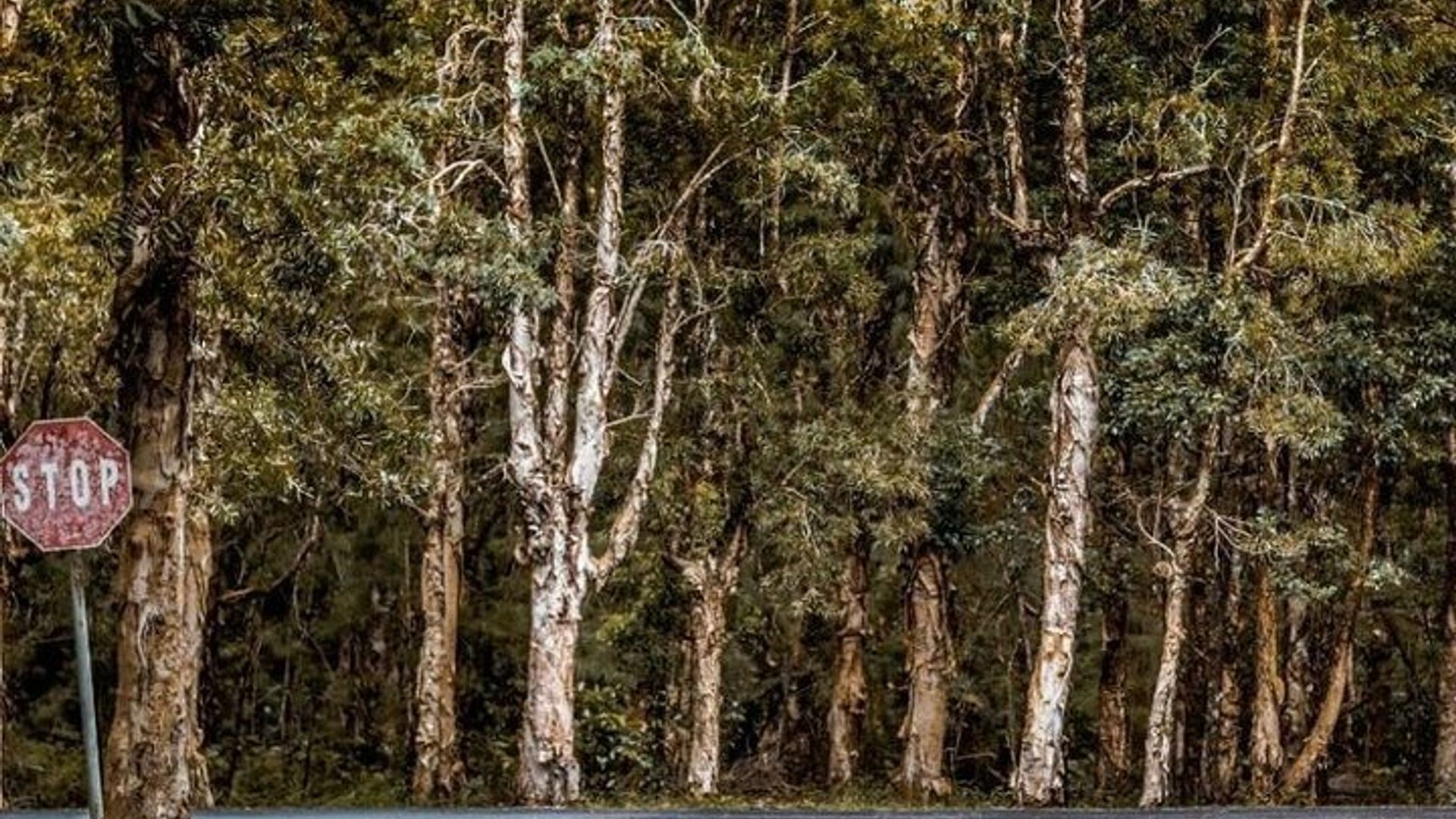 Tour privado por el suroeste de Trou d'Eau Douce con almuerzo