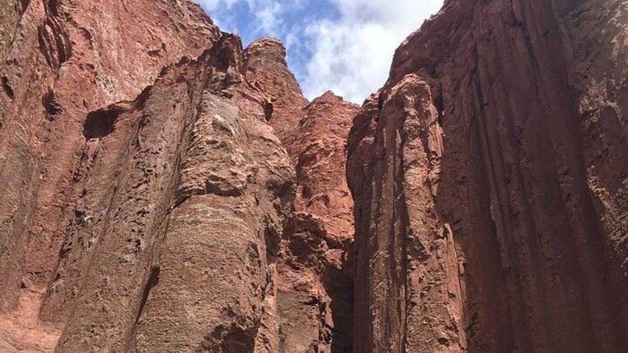 Excursion to Rainbow Valley and Petroglyphs, Yerbas Buenas