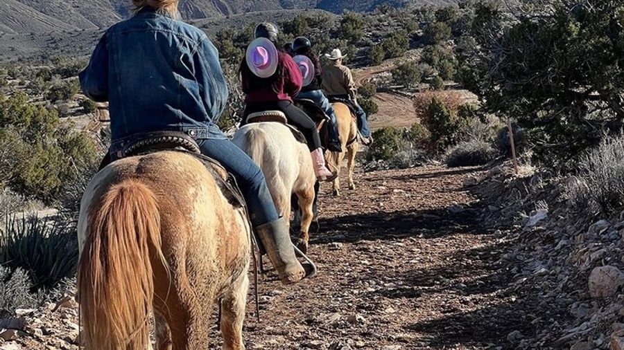 Grand Canyon Helicopter and Ranch Adventure by Luxury Vehicle