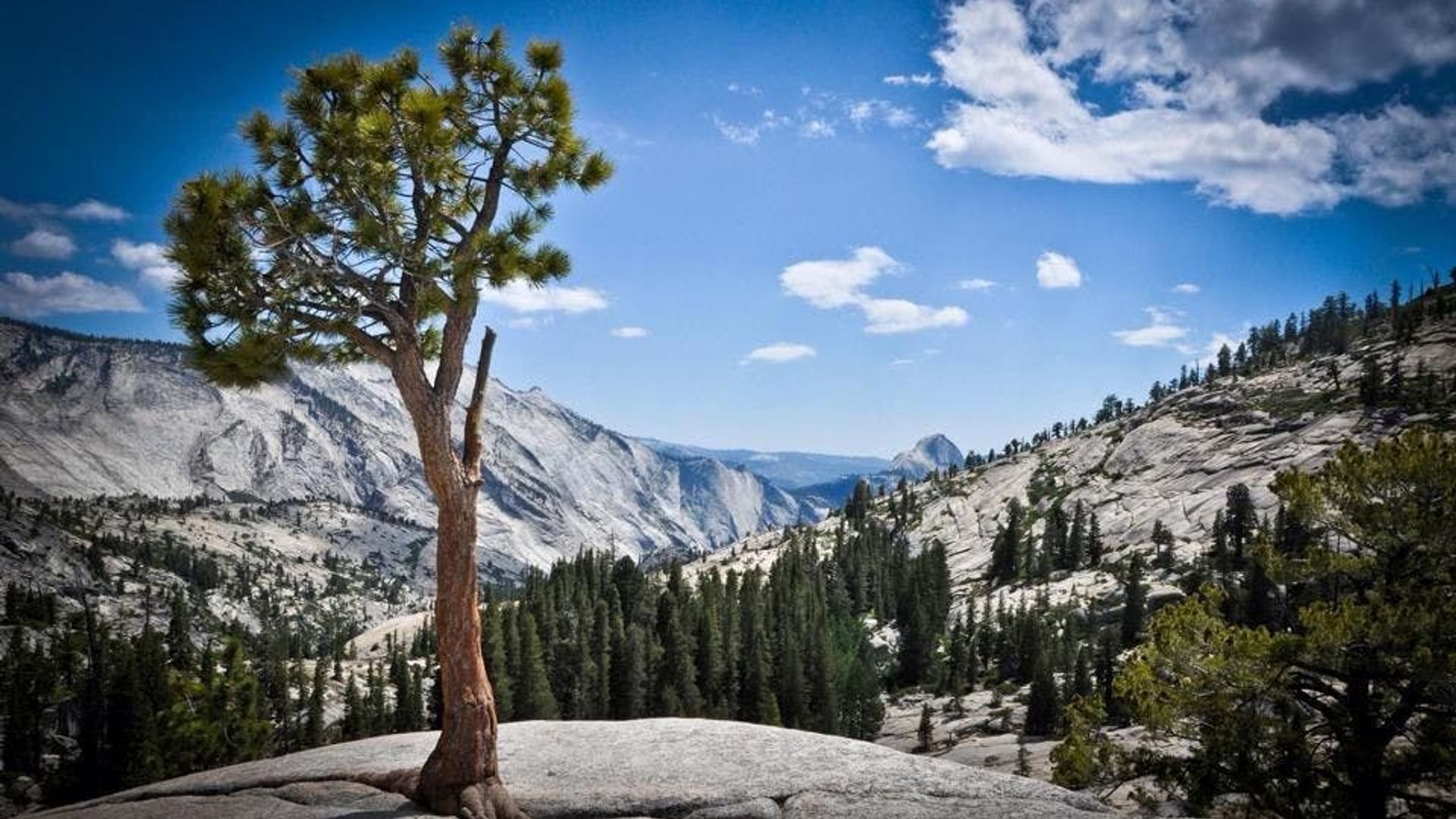 Overnight Yosemite tour with stay at Valley Lodge image 3