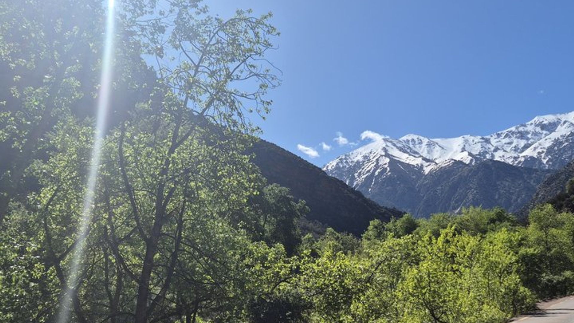 Day Trip to Ourika Valley and Atlas Mountains