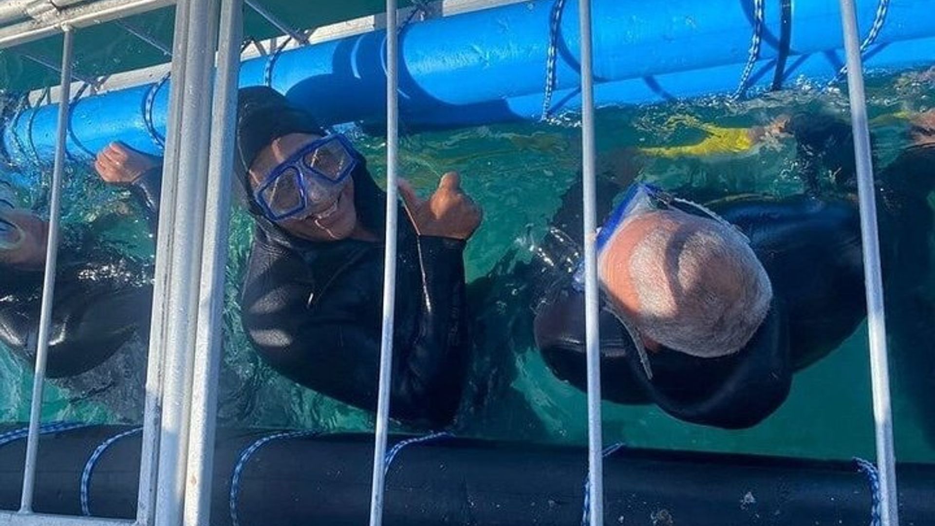 False Bay Shark Cage Diving Tour