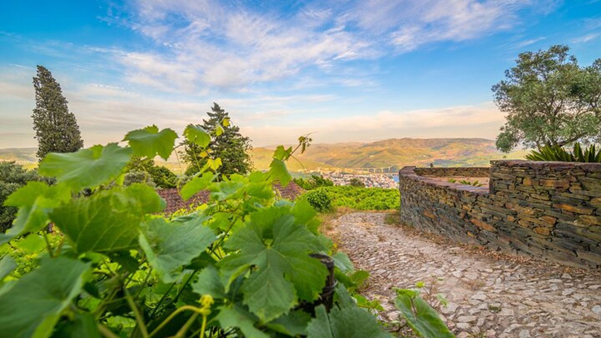 Reconectando con el pasado en la Quinta de Santa Júlia