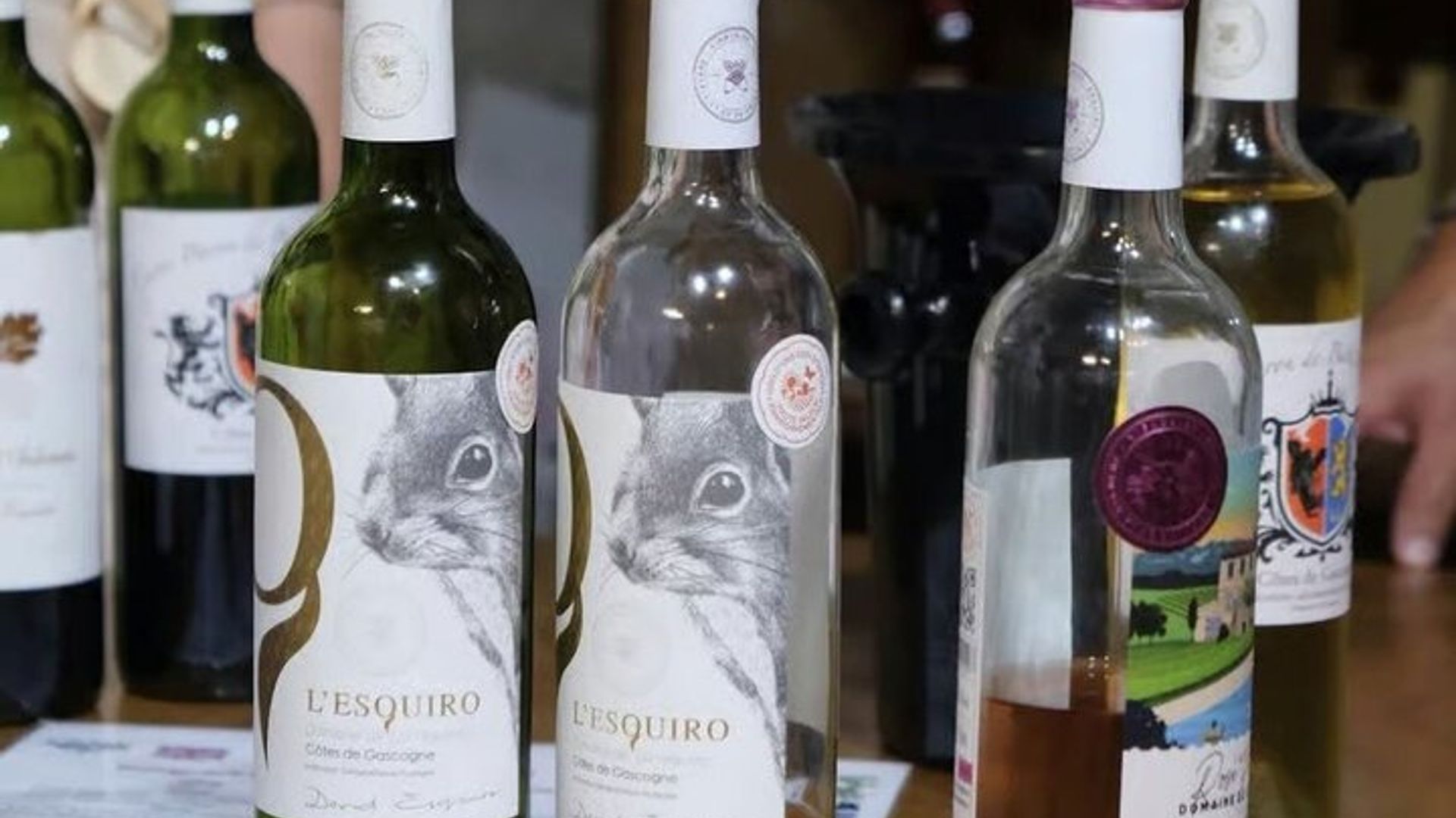 Domaine de la Higuère: Besichtigung, Verkostung und Speisen- & Weinbegleitung