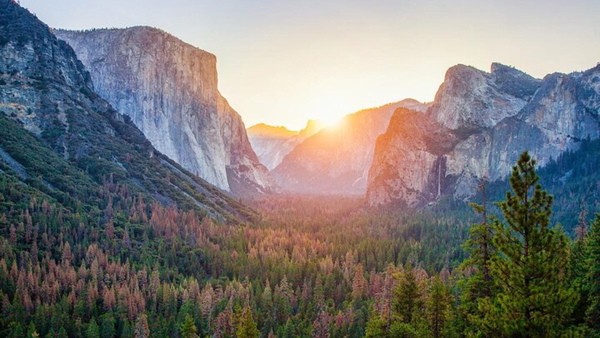 Enchanting Yosemite National Park Tour from San Francisco image 3