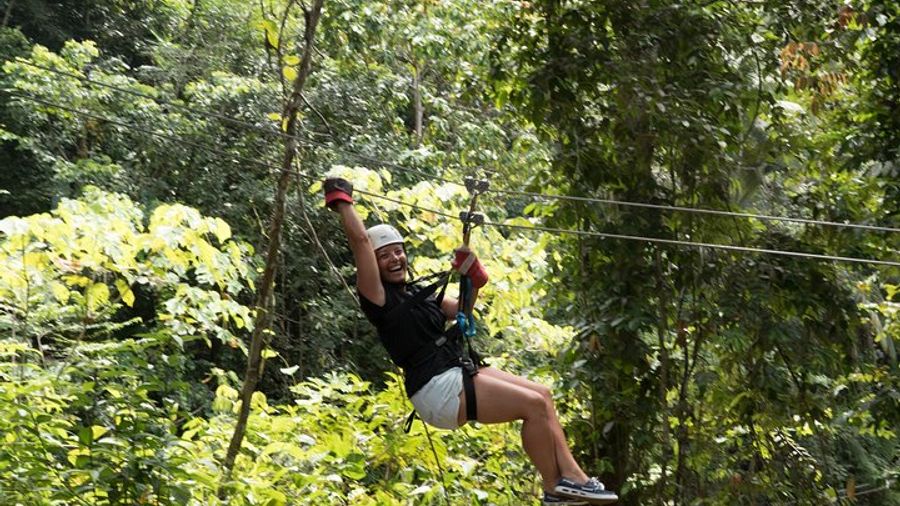 Treetop Adventure Park Canopy Tour